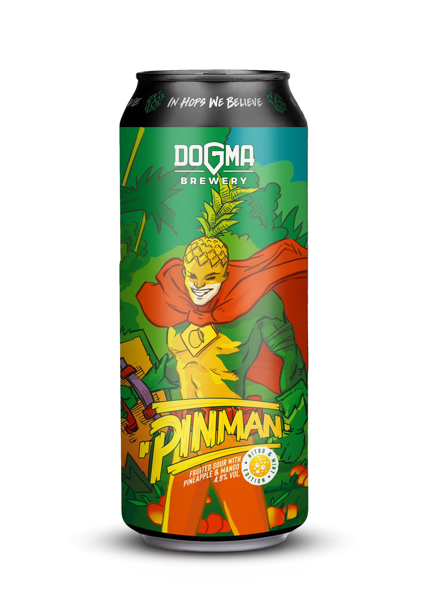 PINMAN ピンマン NITRO SOUR 4.9% 500ml